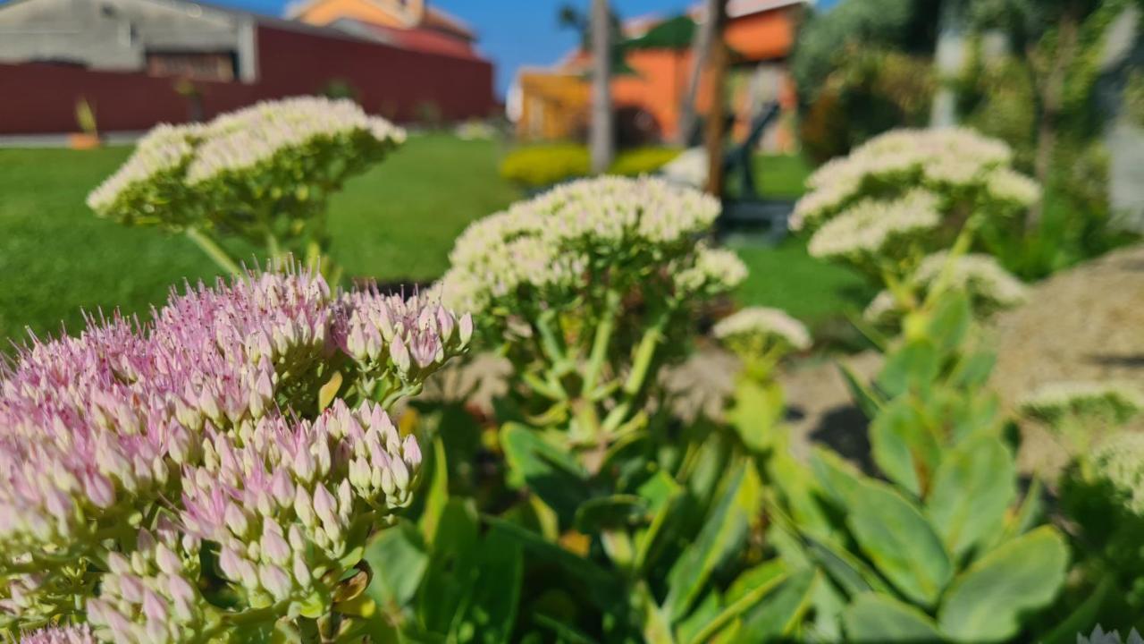 Hollidays Dreams Βίλα Póvoa de Varzim Εξωτερικό φωτογραφία