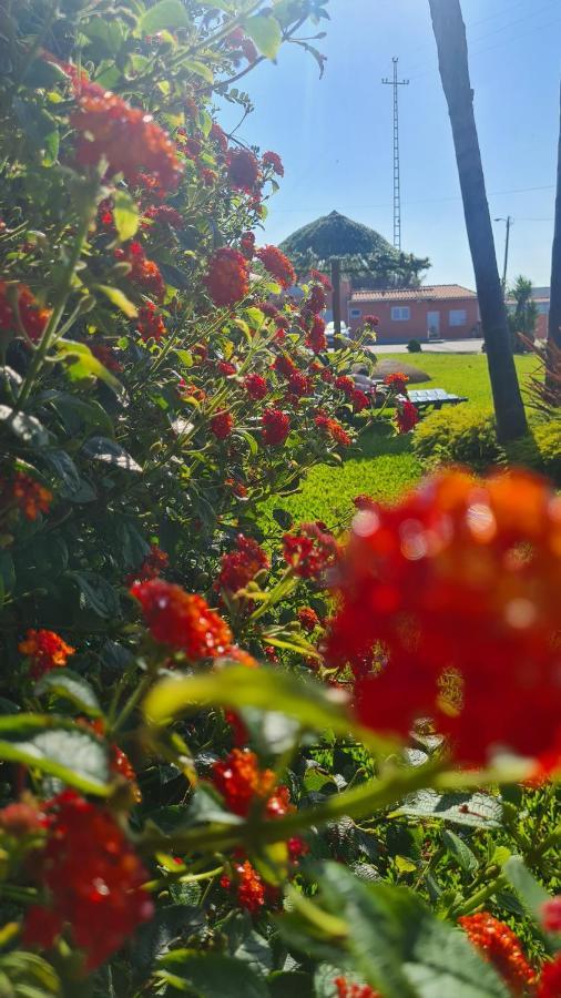 Hollidays Dreams Βίλα Póvoa de Varzim Εξωτερικό φωτογραφία